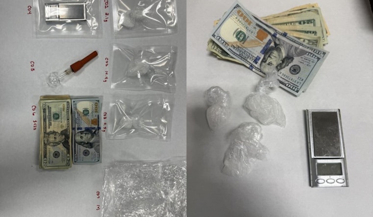 San Rafael K-9 "Tango" Assists in Drug Bust, Novato Man Charged with Multiple Drug Offenses