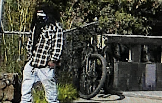 San Rafael Police Nab Suspected Bicycle Thief in Undercover Sting Operation