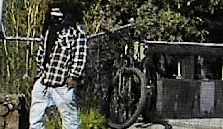 San Rafael Police Nab Suspected Bicycle Thief in Undercover Sting Operation