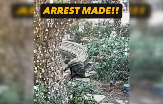 Santa Clarita Man Charged with Animal Cruelty after Allegedly Assaulting Turtle at Valencia Town Center