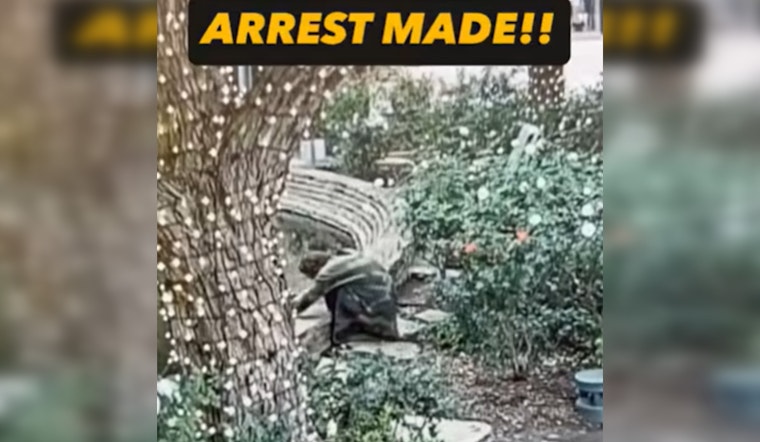 Santa Clarita Man Charged with Animal Cruelty after Allegedly Assaulting Turtle at Valencia Town Center