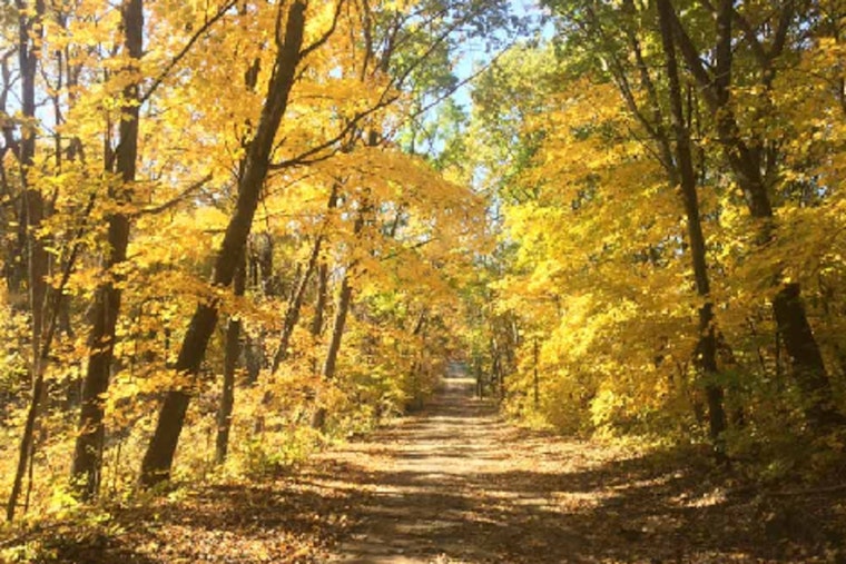 Scott County Offers "Gratitude: Nature Yoga Hike" Pre-Thanksgiving for Mindful Exercise and Reflection
