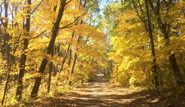 Scott County Offers "Gratitude: Nature Yoga Hike" Pre-Thanksgiving for Mindful Exercise and Reflection