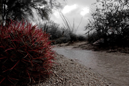 Scottsdale Prepares for Heavy Rain with Up to 1.5 Inches Forecast, City Provides Sandbags and Safety Guidance
