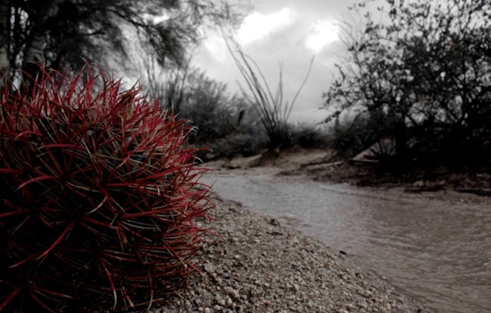 Scottsdale Prepares for Heavy Rain with Up to 1.5 Inches Forecast, City Provides Sandbags and Safety Guidance