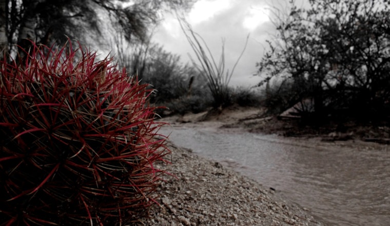 Scottsdale Prepares for Heavy Rain with Up to 1.5 Inches Forecast, City Provides Sandbags and Safety Guidance