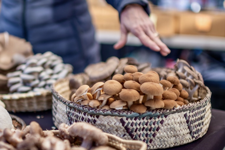 Scottsdale's Old Town Farmers Market Relocates to City Hall for Fresh Start Amid Expansion