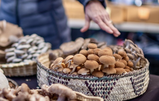 Scottsdale's Old Town Farmers Market Relocates to City Hall for Fresh Start Amid Expansion