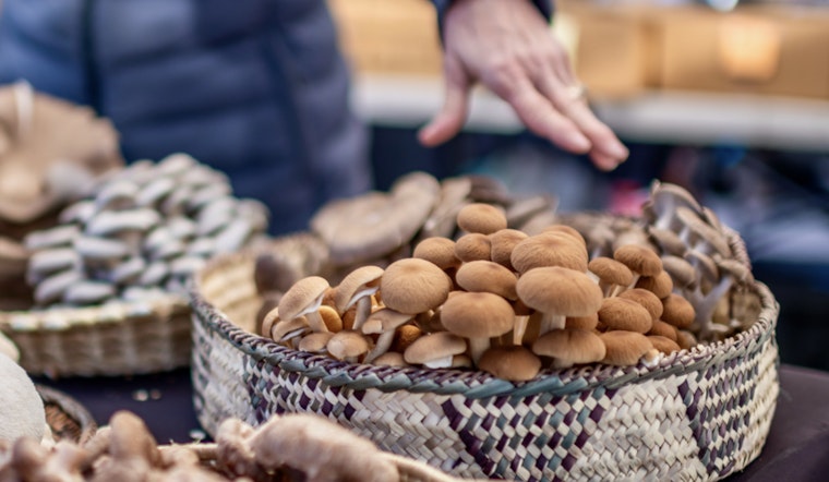 Scottsdale's Old Town Farmers Market Relocates to City Hall for Fresh Start Amid Expansion