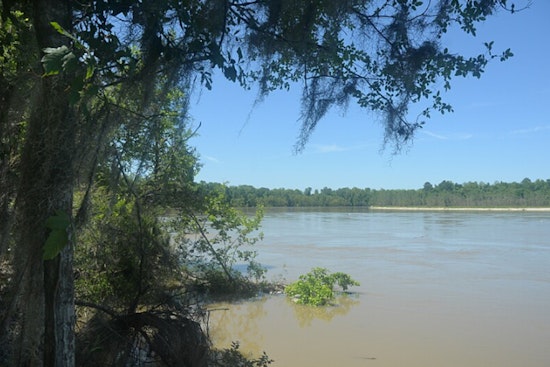 Search Intensifies for Heroic Father Missing After Tragic Kayaking Incident on Trinity River