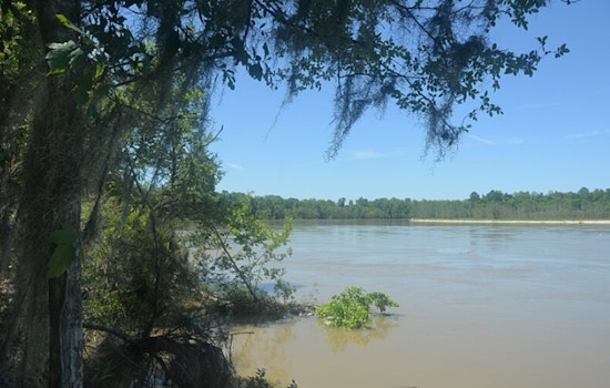 Search Intensifies for Heroic Father Missing After Tragic Kayaking Incident on Trinity River