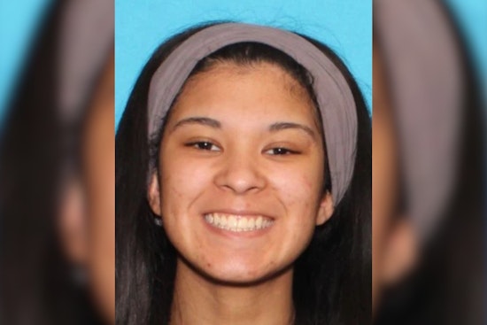 Search Intensifies for Missing Rochester Hills Teen Believed to Be in West Michigan
