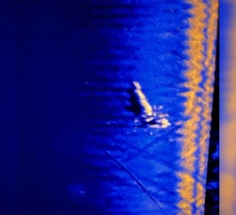 Search Intensifies on Lake Pontchartrain for Missing Aircraft as NOPD and Jefferson Parish Sheriff's Office Employ Advanced Sonar