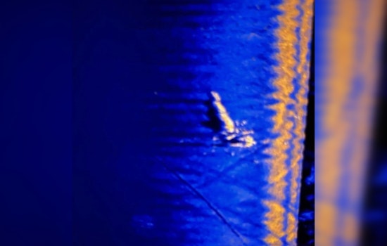 Search Intensifies on Lake Pontchartrain for Missing Aircraft as NOPD and Jefferson Parish Sheriff's Office Employ Advanced Sonar