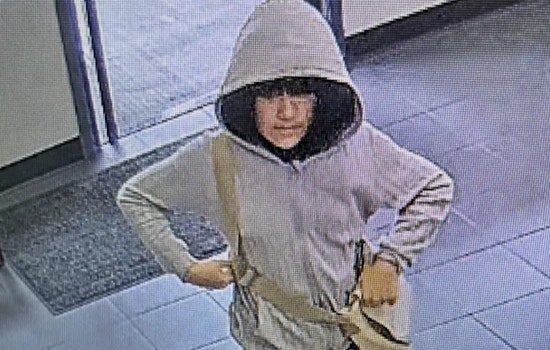 Searching for Clues: Investigators Release Photos of Car in Mystery of Missing 9-Year-Old Melodee Buzzard