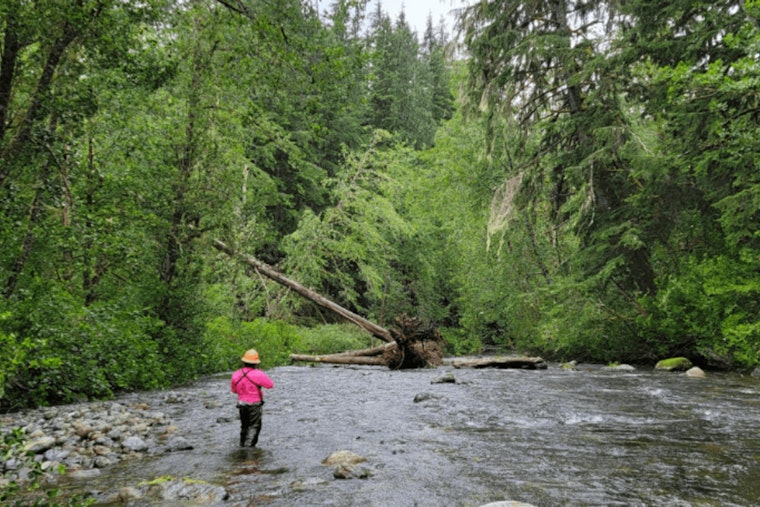 Seattle Advances South Fork Tolt Hydroelectric Project Renewal, Emphasizes Adaptive Management and Collaboration