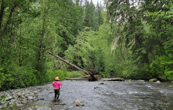 Seattle Advances South Fork Tolt Hydroelectric Project Renewal, Emphasizes Adaptive Management and Collaboration