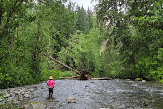 Seattle Rallies Around South Fork Tolt Hydroelectric Project Relicensing with Focus on Adaptive Management and Conservation