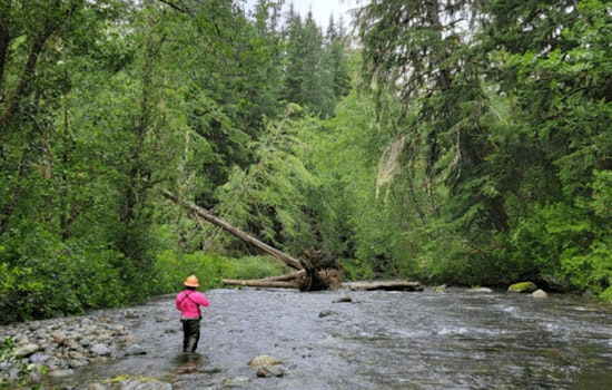 Seattle Rallies Around South Fork Tolt Hydroelectric Project Relicensing with Focus on Adaptive Management and Conservation