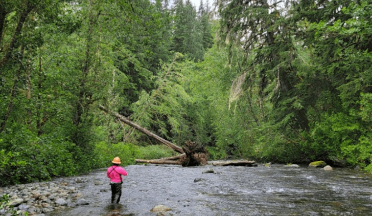 Seattle Rallies Around South Fork Tolt Hydroelectric Project Relicensing with Focus on Adaptive Management and Conservation