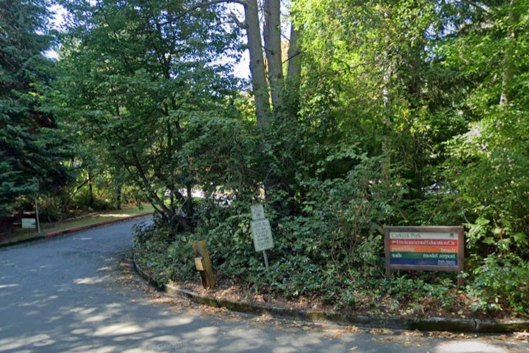 Seattle's Carkeek Park Invites Community to Witness Spectacular Salmon Return This November