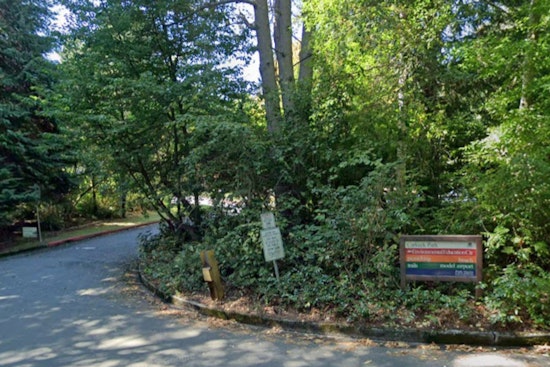 Seattle's Carkeek Park Invites Community to Witness Spectacular Salmon Return This November