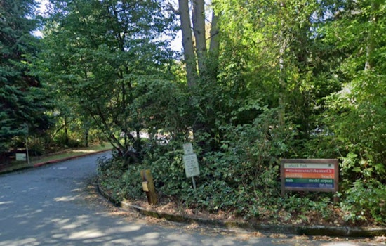 Seattle's Carkeek Park Invites Community to Witness Spectacular Salmon Return This November