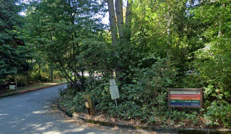 Seattle's Carkeek Park Invites Community to Witness Spectacular Salmon Return This November