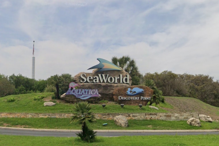 SeaWorld Reveal, Flambeau Parade To Crown 2026 Grand Marshals Today