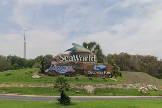 SeaWorld Reveal, Flambeau Parade To Crown 2026 Grand Marshals Today