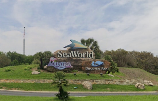 SeaWorld Reveal, Flambeau Parade To Crown 2026 Grand Marshals Today