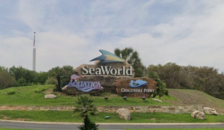 SeaWorld Reveal, Flambeau Parade To Crown 2026 Grand Marshals Today