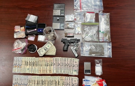 Sevier County Sheriff Applauds NOVA Unit for Major Drug and Firearm Bust in Trafficking Crackdown