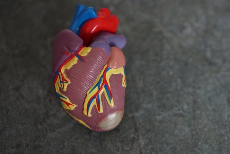 Smartwatch Revolution: Researchers Unveil App That Spots Heart Disease, Igniting Hope for Early Detection