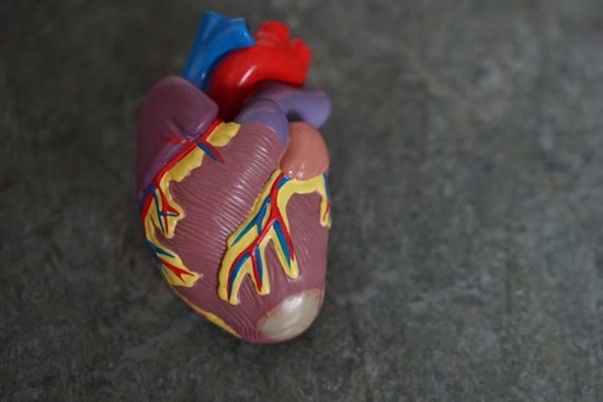 Smartwatch Revolution: Researchers Unveil App That Spots Heart Disease, Igniting Hope for Early Detection