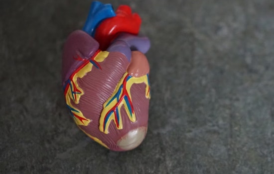 Smartwatch Revolution: Researchers Unveil App That Spots Heart Disease, Igniting Hope for Early Detection