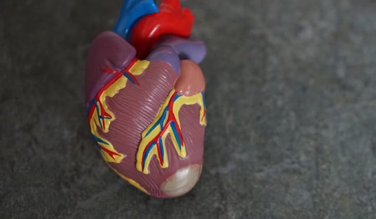 Smartwatch Revolution: Researchers Unveil App That Spots Heart Disease, Igniting Hope for Early Detection