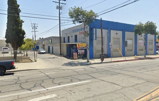 South Los Angeles Barbershop Ransacked on Thanksgiving; Owner Pleads for Return of Kidnapped Mascot Cat