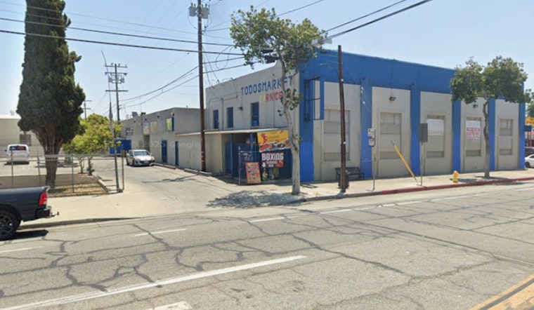 South Los Angeles Barbershop Ransacked on Thanksgiving; Owner Pleads for Return of Kidnapped Mascot Cat
