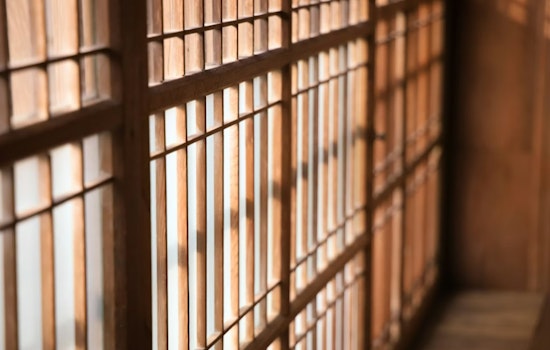 Southwest Georgia Men Sentenced, 10 Years for Moultrie Felon and Mandatory 25 Years for Pelham Drug Offender