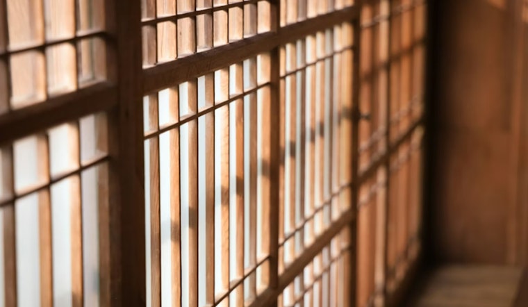 Southwest Georgia Men Sentenced, 10 Years for Moultrie Felon and Mandatory 25 Years for Pelham Drug Offender