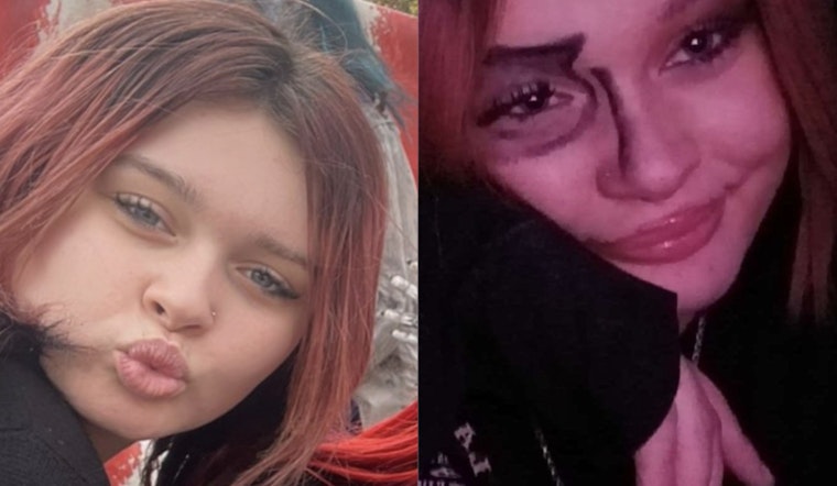 Springfield Police Seek Public's Help in Locating Missing Teen Nastaljia Webster