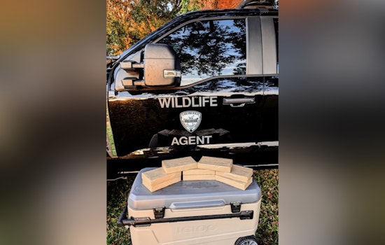 St. James Parish Traffic Stop Leads to Federal Drug Charges, Over 9 Kilograms of Suspected Cocaine Seized