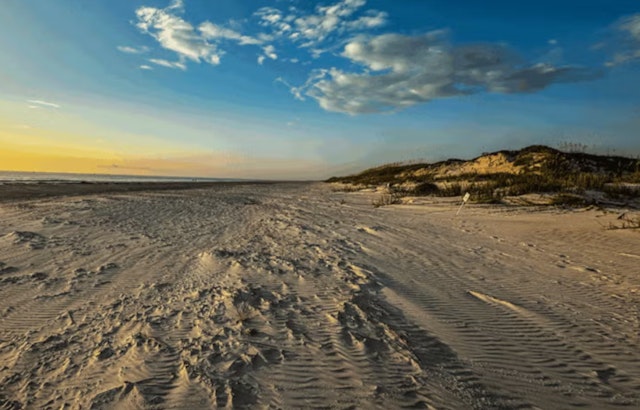 St. Johns County Celebrates Record Beach Driving Pass Sales, Boosts Local Services and Accessibility