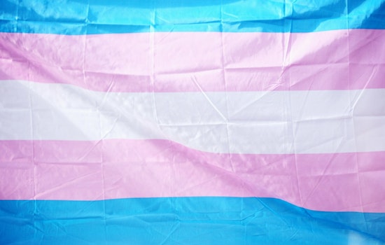 St. Louis Park City Council Proclaims November 20 as Transgender Day of Remembrance Amidst Legislative Challenges