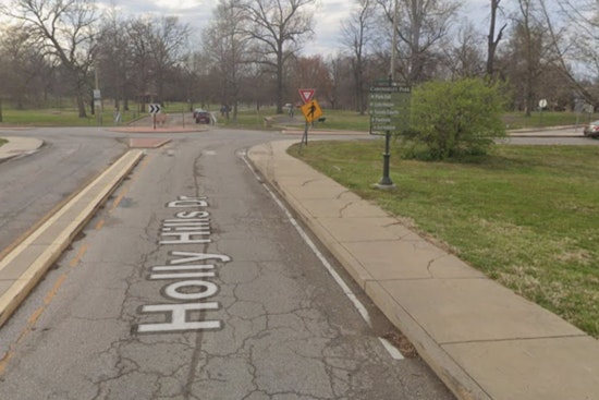 St. Louis Residents Can Warm Up This Winter with Free Firewood from City Parks