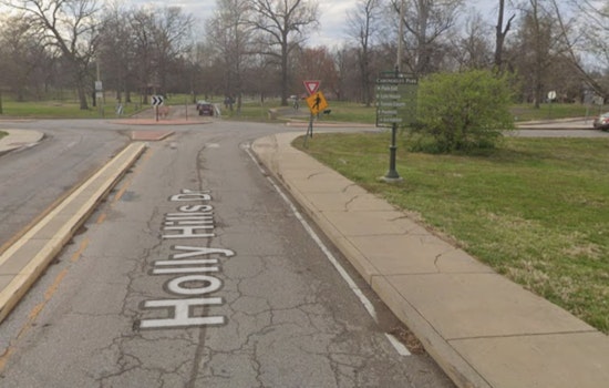 St. Louis Residents Can Warm Up This Winter with Free Firewood from City Parks