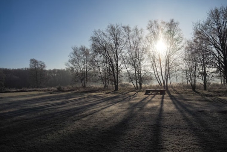 St. Louis Veterans Day Forecast Shows Chilly Morning Turning to Clearer Skies and Warmer Temperatures