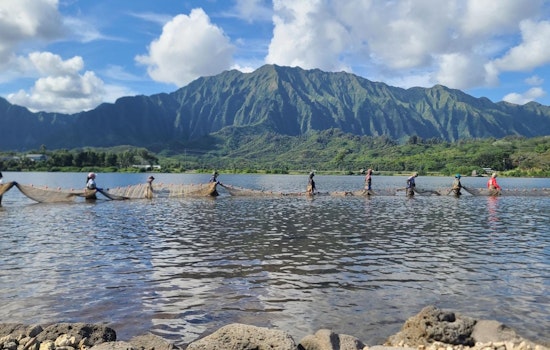 STUDY: Heeia's Ancient Fishponds Quietly Outmuscle Warming Waters In Kaneohe Bay