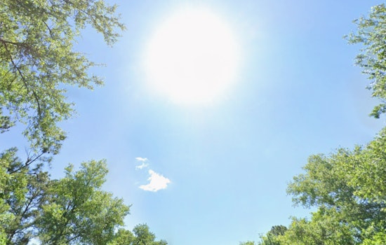 Sunny Skies and Brisk Temperatures Greet Jacksonville Residents as a Weekend Warm-Up Looms